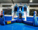 Frozen Double Jumping Bouncer Inflatable Water Slide With Pool