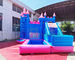 Toddler Plato Inflatable Bounce House Combo For Kindergarten